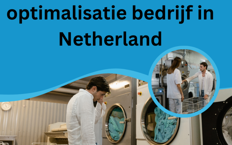 Zoekmachine optimalisatie bedrijf in Netherland